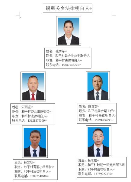 和平村法律明白人