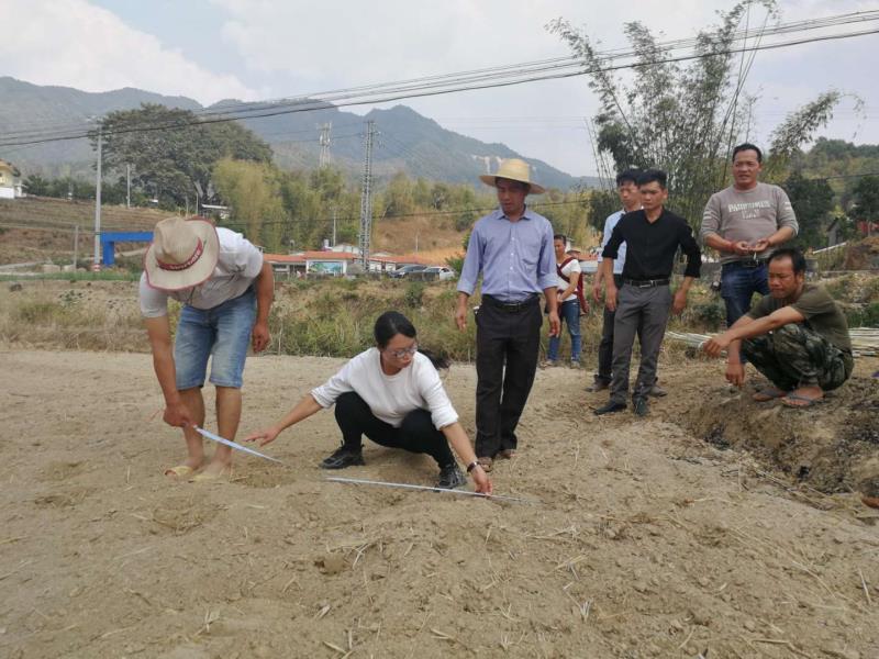 微信图片_20200327170129