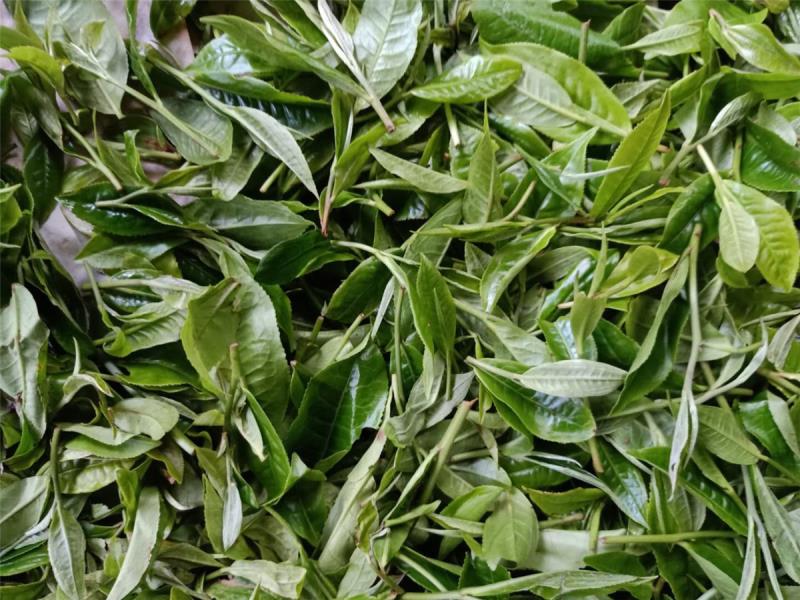 微信图片_20201014113206