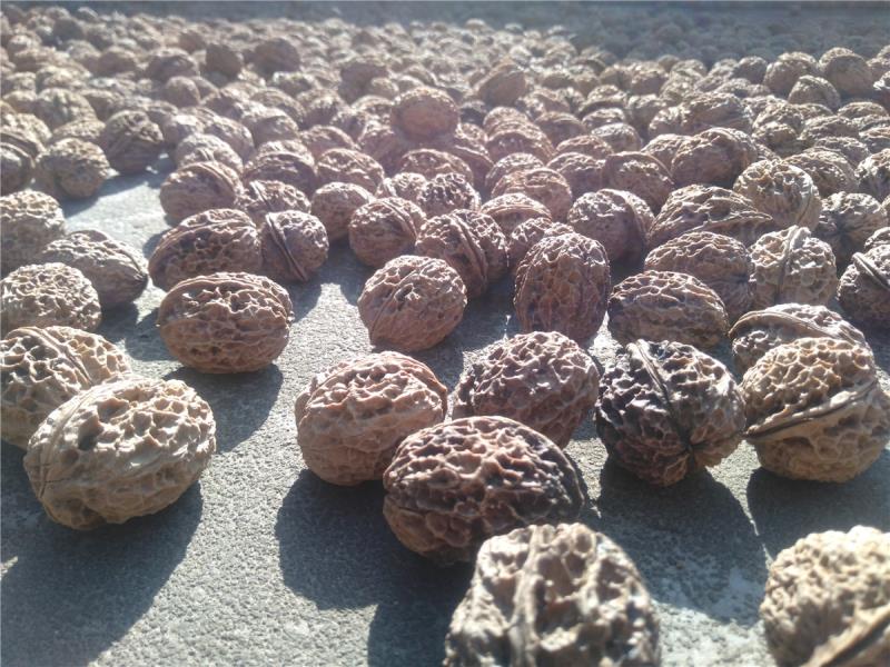 微信图片_20201014101752