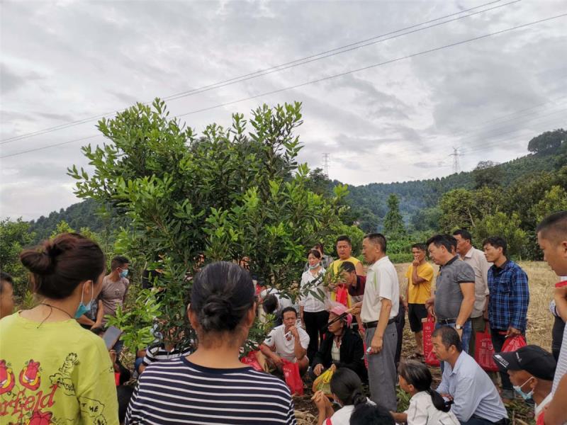 微信图片_20201014171958