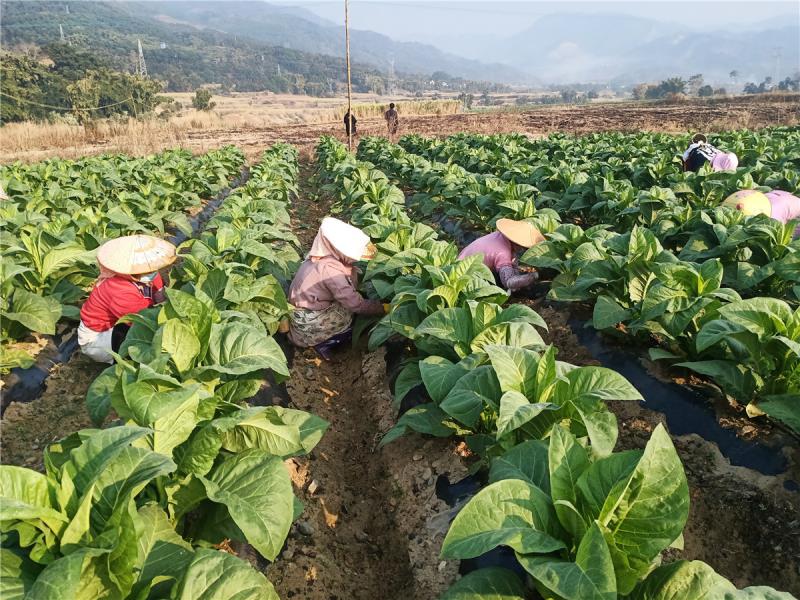 微信图片_20201013094832