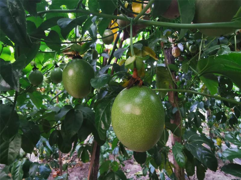 430892b62bd82b33c6847f25a8129e1