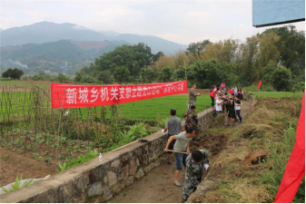 10f5311761fce1e03a50d81db298319