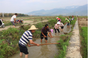 84706ac8c6b85a7e7c56ff415bf782a