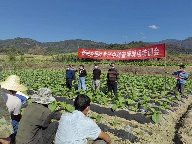 微信图片_20220217100103