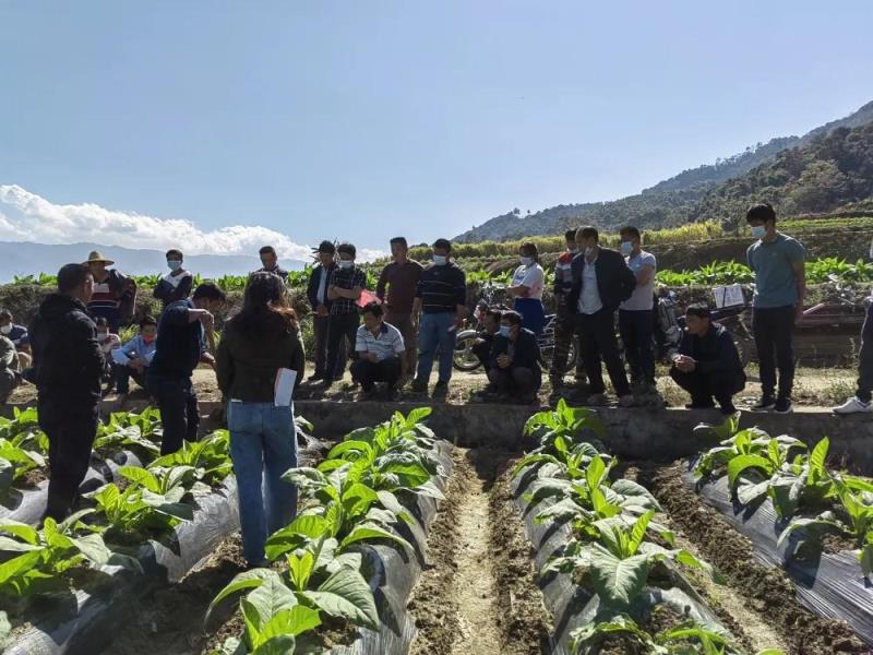 微信图片_20220217100109