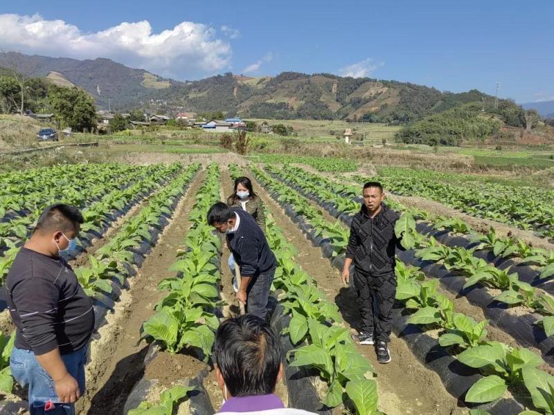 微信图片_20220217100116