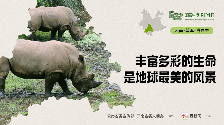 画板 1 副本 2@2x-100