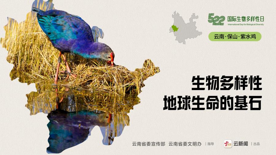 画板 1 副本@2x-100