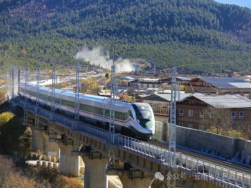 微信图片_20241111103648