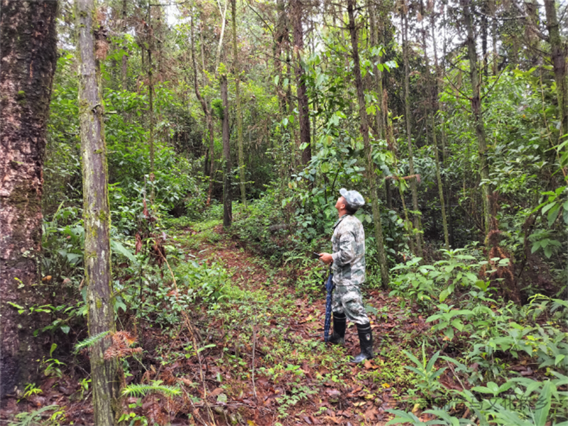 微信图片_20240731101202