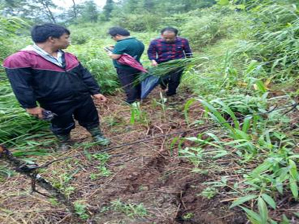 第50期简报图片2