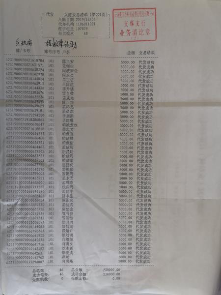 资金发放银行流水