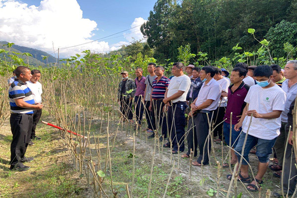 微信图片_20201030085518_副本