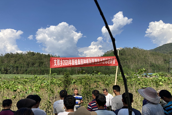 微信图片_20201030085525_副本