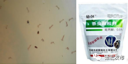 微信图片_20210103154325