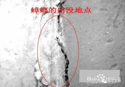 微信图片_20210103154414