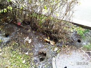 微信图片_20210103154103