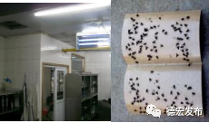 微信图片_20210103154340