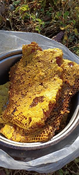 微信图片_20210414105631