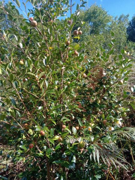 微信图片_20210413205834