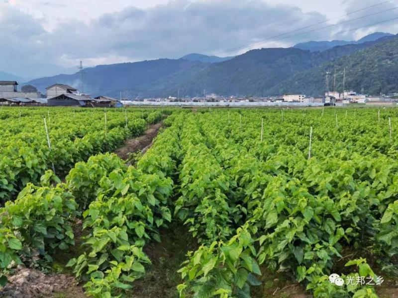 微信图片_20220505160701