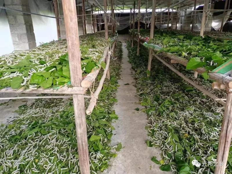 微信图片_20220505160832