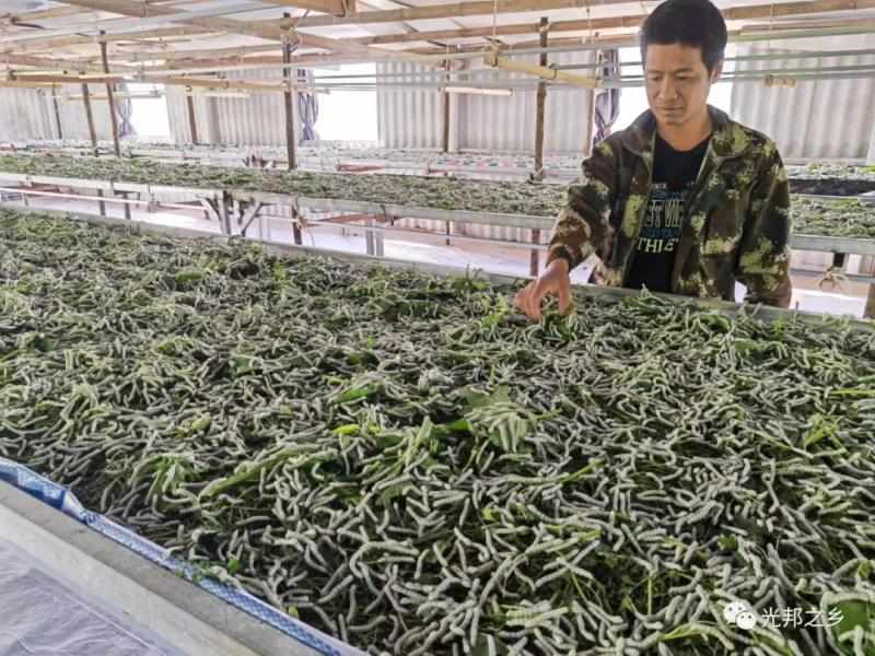 微信图片_20220505160839