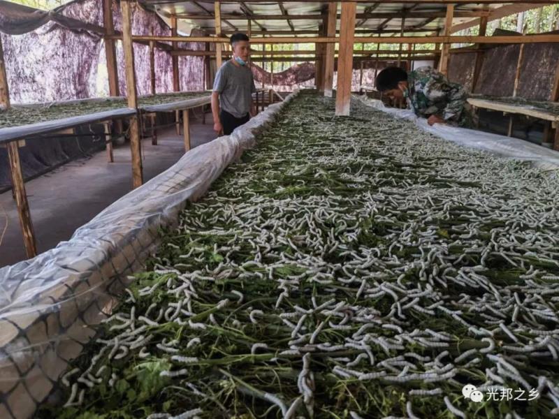 微信图片_20220505160843