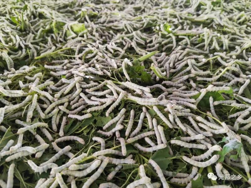 微信图片_20220505160847