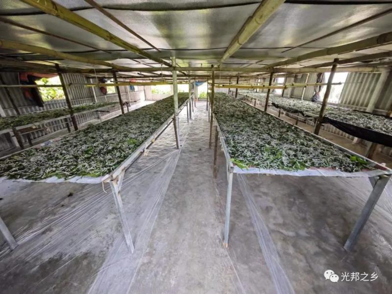 微信图片_20220505160851