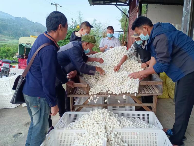 微信图片_20220524164651