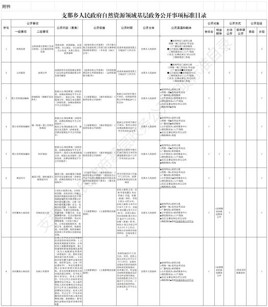 支那乡人民政府自然资源领域基层政务公开事项标准目录