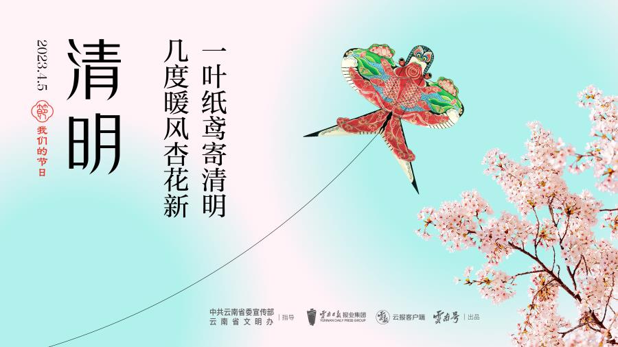 画板 5 副本 2@2x-100