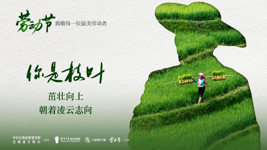 画板 1 副本 6@2x-100