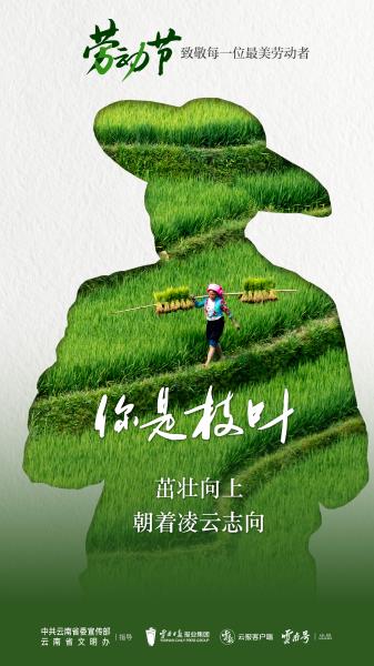 画板 1 副本 3@2x-100