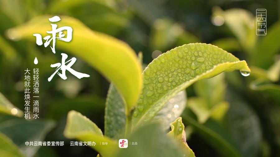 6af92bd2e2f8b8499a19c569d86b81c