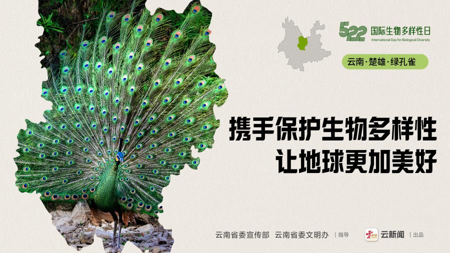 微信图片_20240522102750