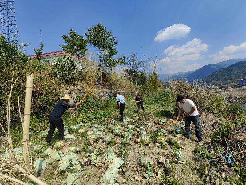 镇水管所开展河湖围垦种植专项整治行动